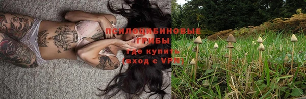 apvp Алексеевка
