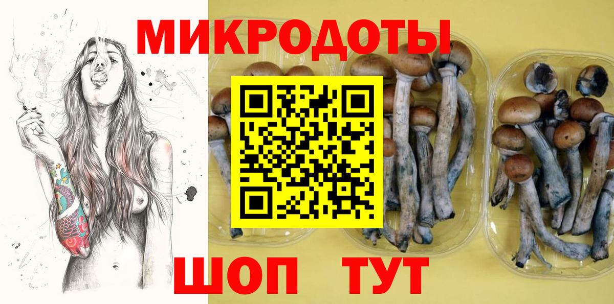 Заводоуковск  Псилоцибиновые грибы прущие грибы  Вход с VPN 